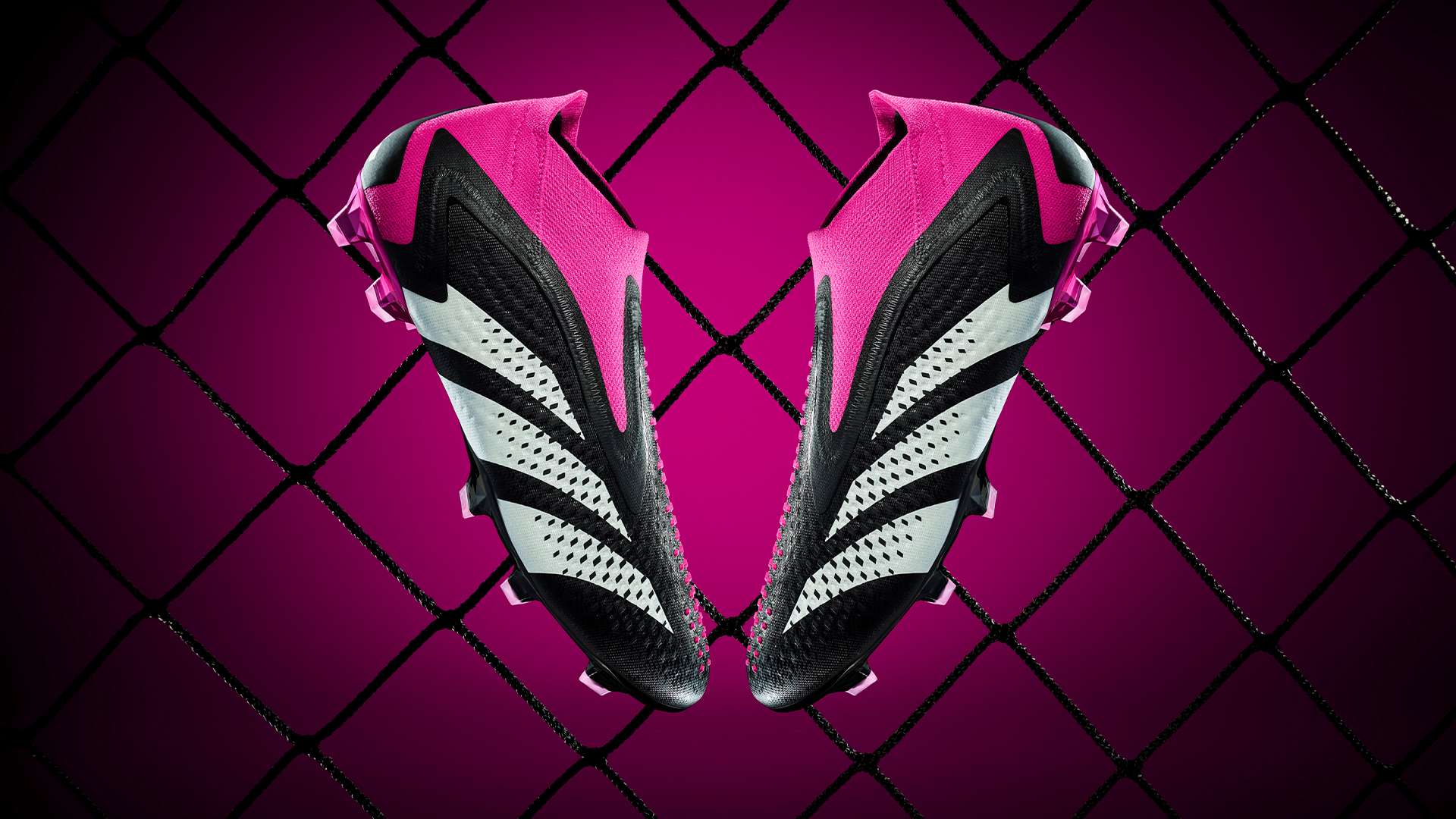 展现了一种 展现了一种