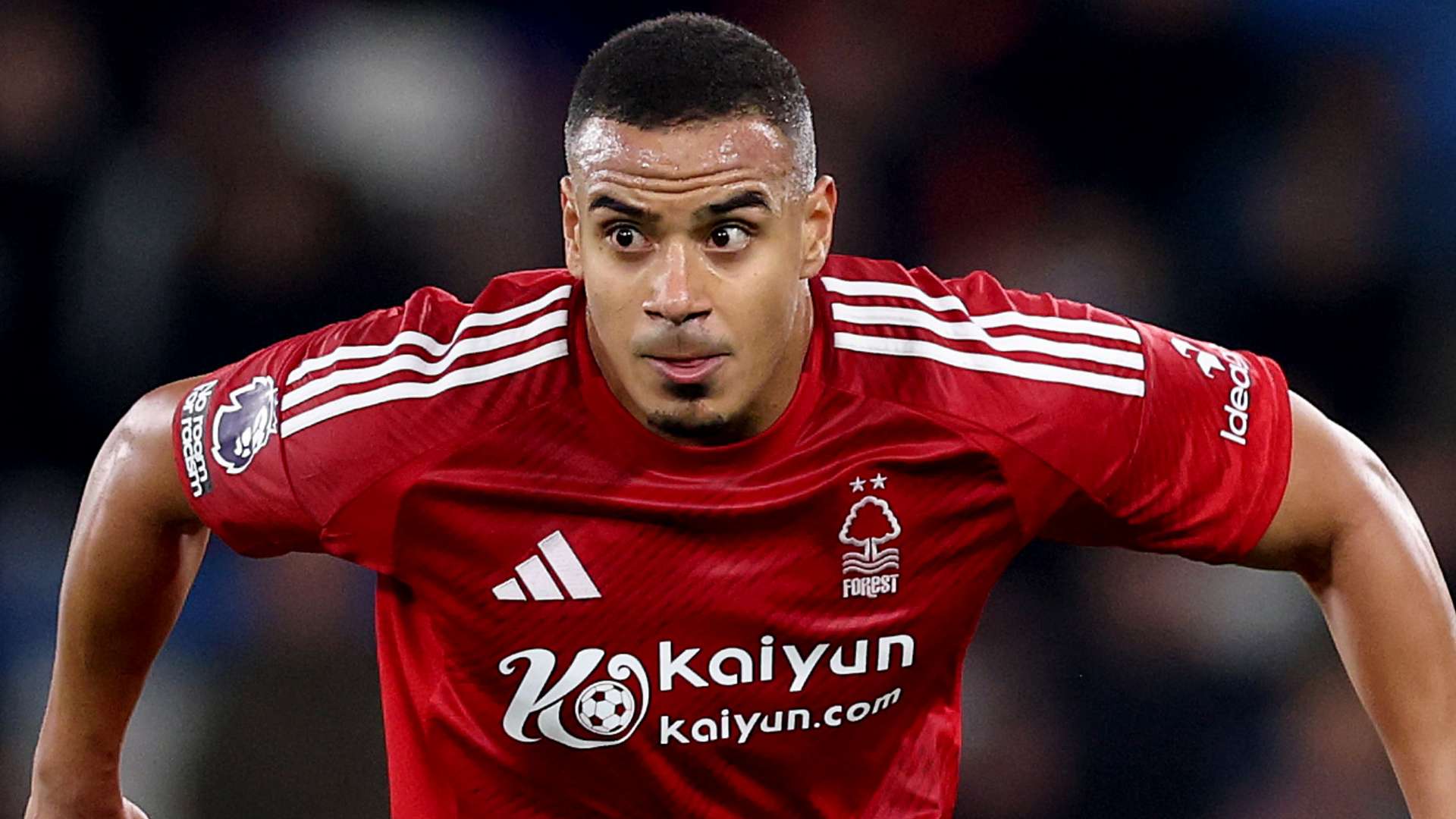 在欧洲乃至 在欧洲乃至