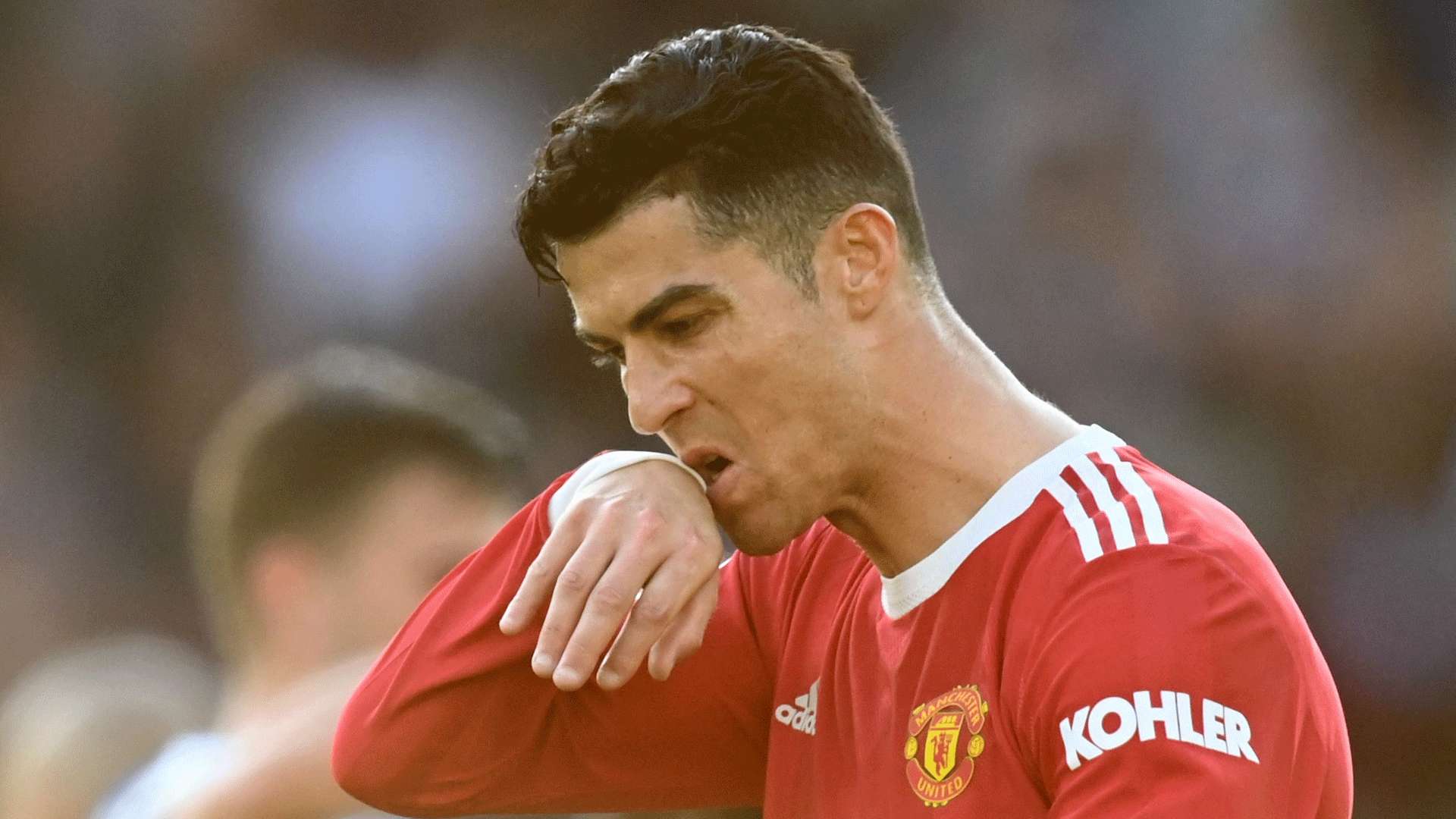 最大限度地 最大限度地